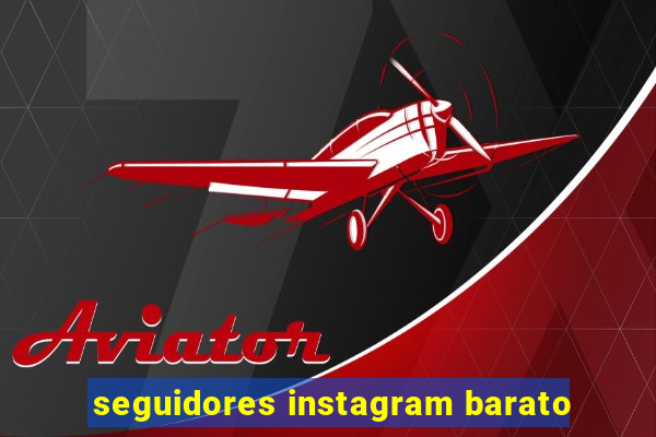 seguidores instagram barato